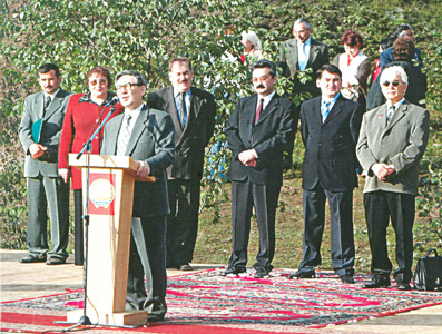 Portfolio Image